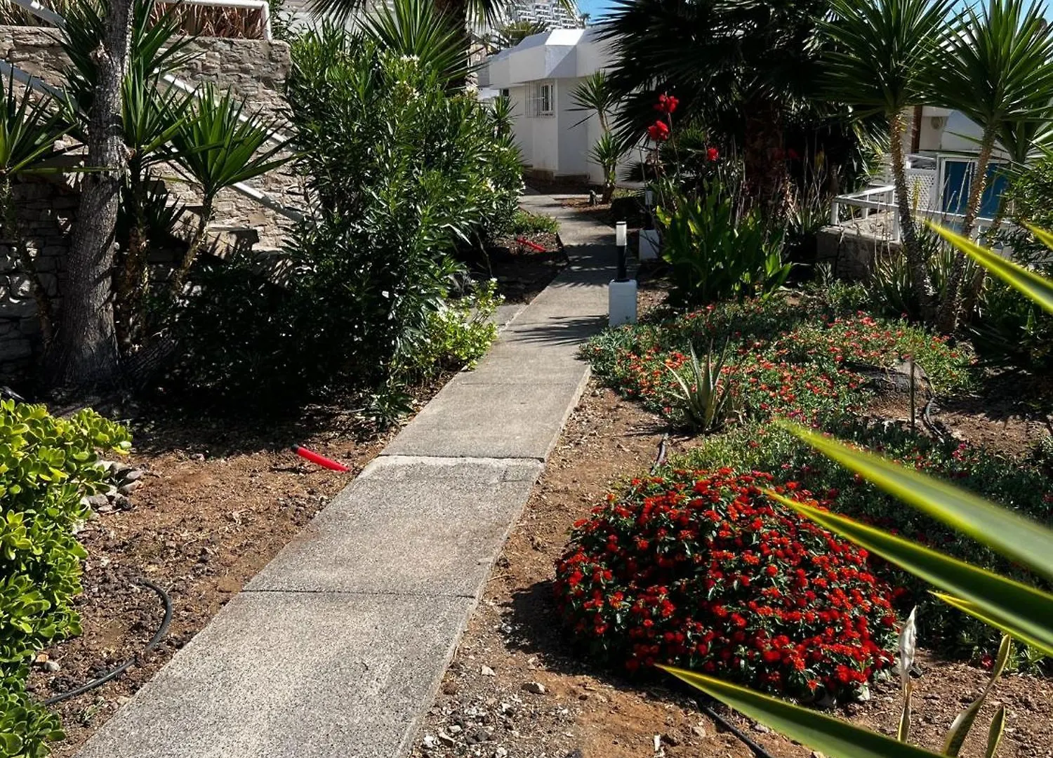 Casa Rica Apartment Puerto Rico   Puerto Rico (Gran Canaria)